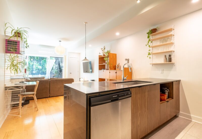 5506 1re Avenue #C  Montréal (Rosemont/La Petite-Patrie) (Montréal)