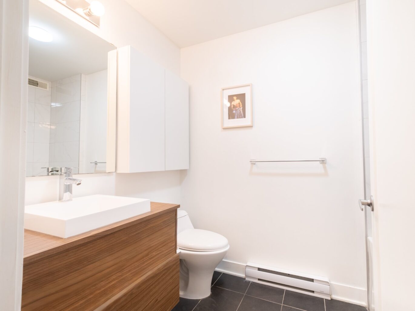 5506 1re Avenue #C  Montréal (Rosemont/La Petite-Patrie) (Montréal)