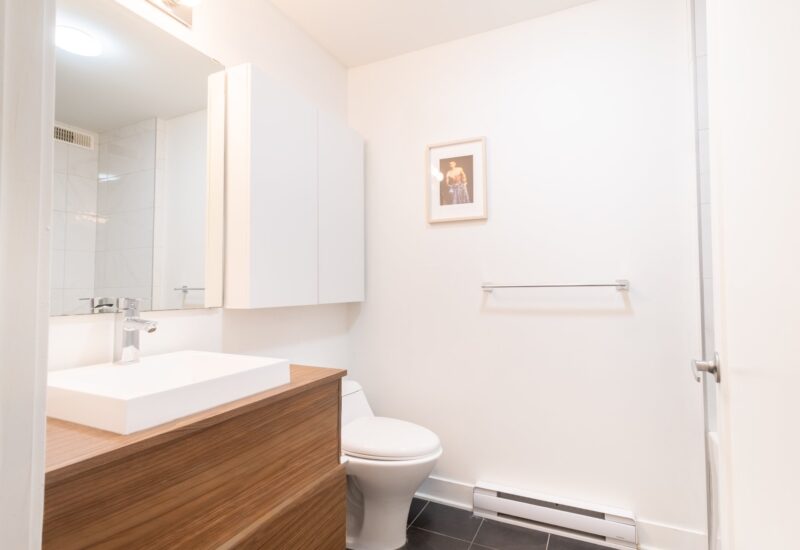 5506 1re Avenue #C  Montréal (Rosemont/La Petite-Patrie) (Montréal)