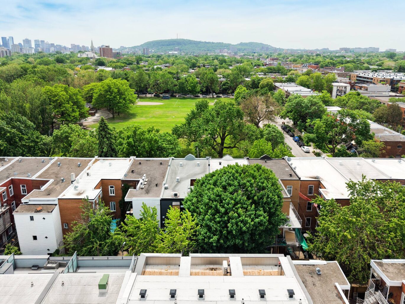4428 Rue D’Iberville Montréal (Le Plateau-Mont-Royal) (Montréal)
