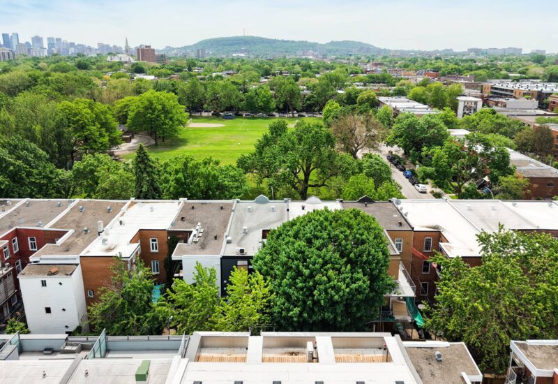 4428 Rue D’Iberville Montréal (Le Plateau-Mont-Royal) (Montréal)