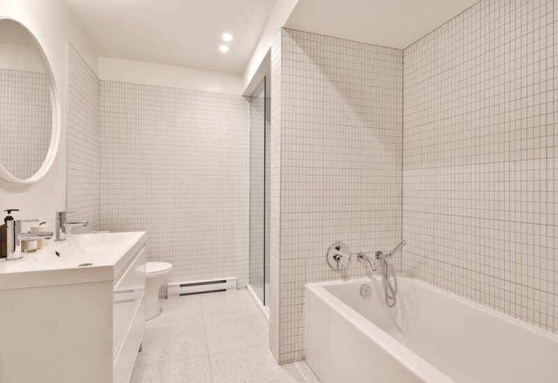 4428 Rue D’Iberville Montréal (Le Plateau-Mont-Royal) (Montréal)