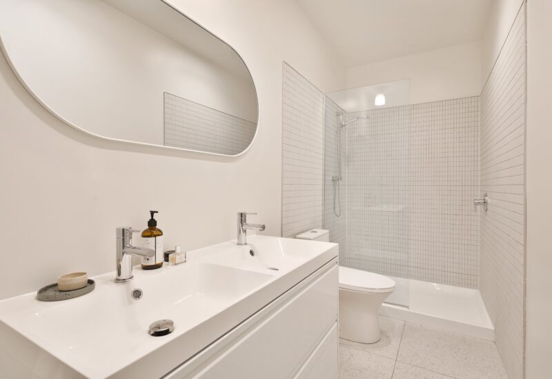 4428 Rue D’Iberville Montréal (Le Plateau-Mont-Royal) (Montréal)
