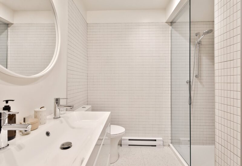 4428 Rue D’Iberville Montréal (Le Plateau-Mont-Royal) (Montréal)