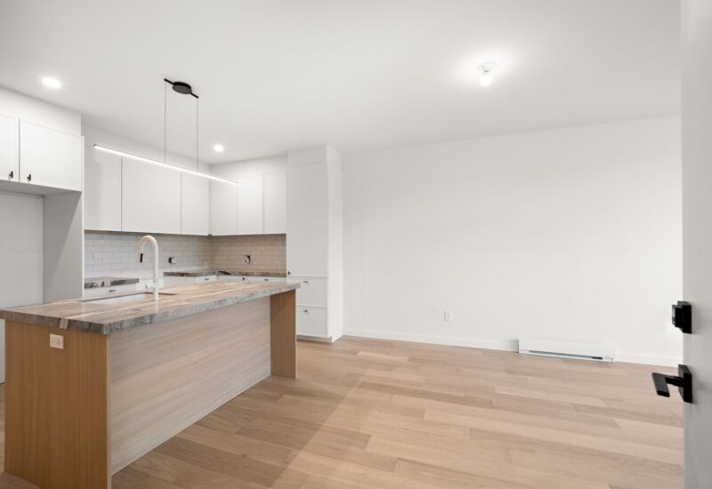 4719 Av. Papineau Montréal (Le Plateau-Mont-Royal) (Montréal)