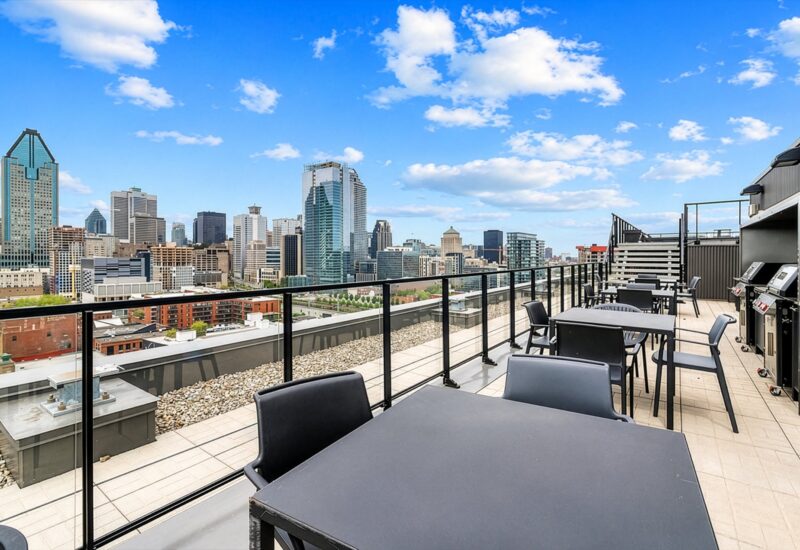 195 Rue Peel #1703 Montréal (Le Sud-Ouest) (Montréal)