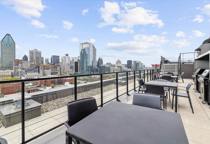 195 Rue Peel #1703 Montréal (Le Sud-Ouest) (Montréal)