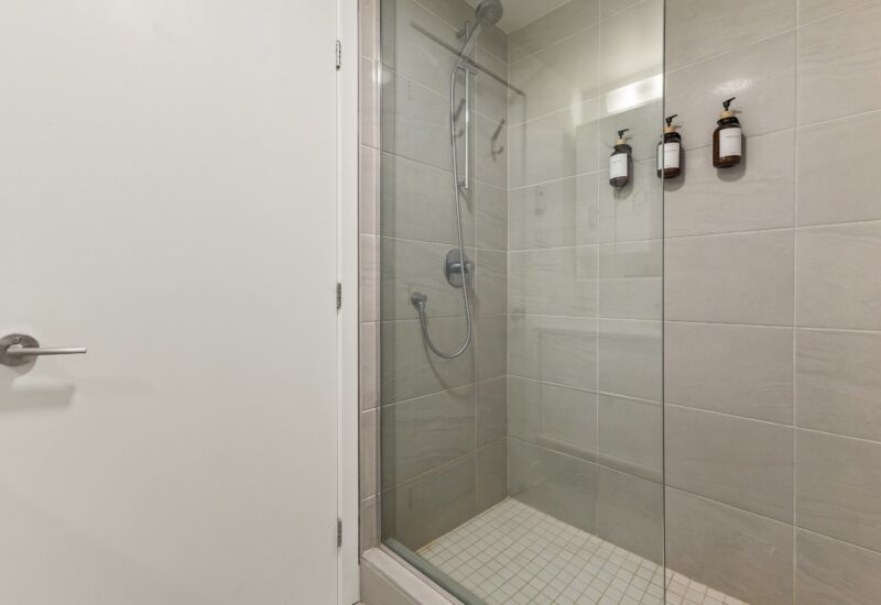 195 Rue Peel #1703 Montréal (Le Sud-Ouest) (Montréal)