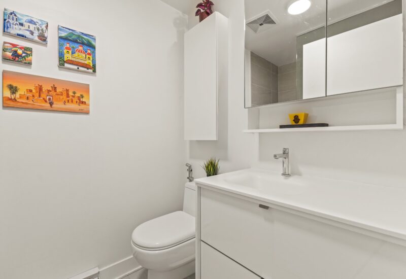 195 Rue Peel #1703 Montréal (Le Sud-Ouest) (Montréal)