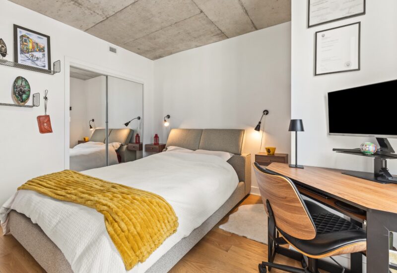 195 Rue Peel #1703 Montréal (Le Sud-Ouest) (Montréal)