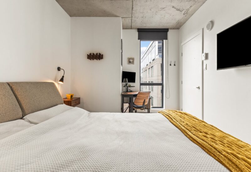 195 Rue Peel #1703 Montréal (Le Sud-Ouest) (Montréal)