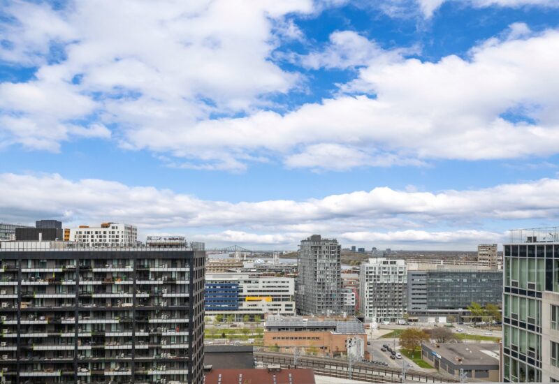 195 Rue Peel #1703 Montréal (Le Sud-Ouest) (Montréal)
