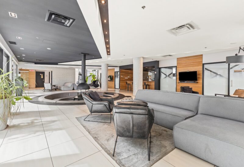 195 Rue Peel #1703 Montréal (Le Sud-Ouest) (Montréal)