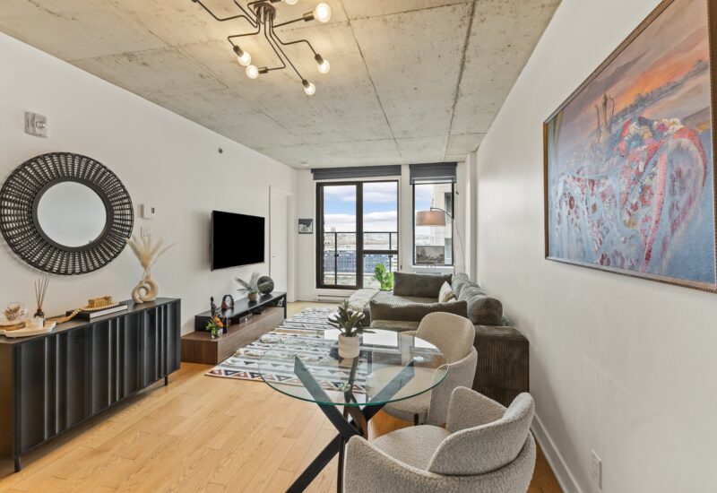 195 Rue Peel #1703 Montréal (Le Sud-Ouest) (Montréal)