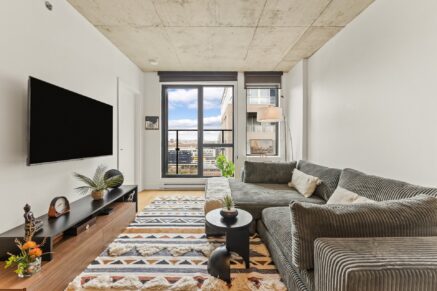 195 Rue Peel #1703 Montréal (Le Sud-Ouest) (Montréal)
