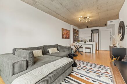 195 Rue Peel #1703 Montréal (Le Sud-Ouest) (Montréal)