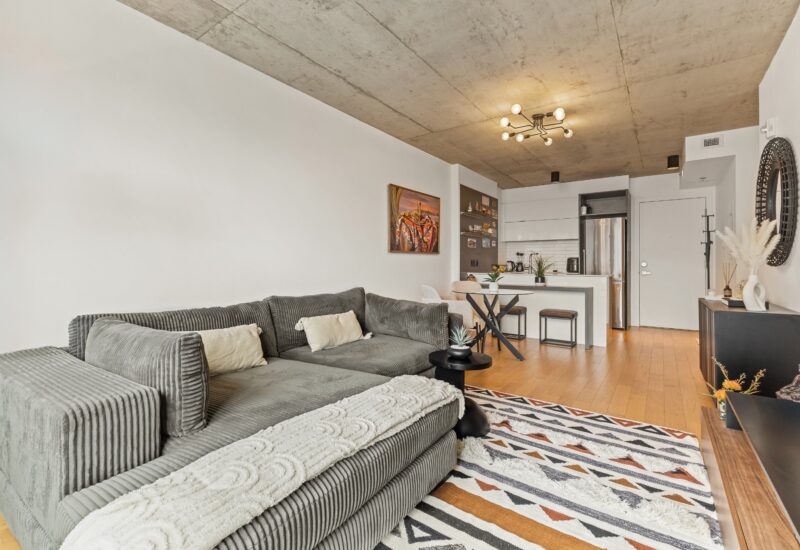 195 Rue Peel #1703 Montréal (Le Sud-Ouest) (Montréal)