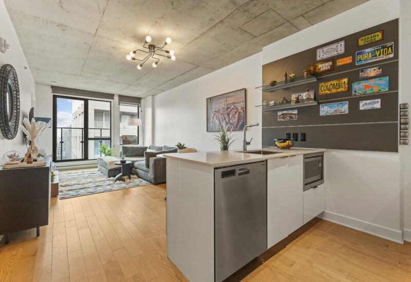 195 Rue Peel #1703 Montréal (Le Sud-Ouest) (Montréal)