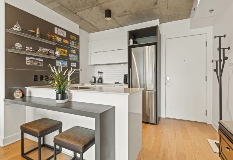 195 Rue Peel #1703 Montréal (Le Sud-Ouest) (Montréal)