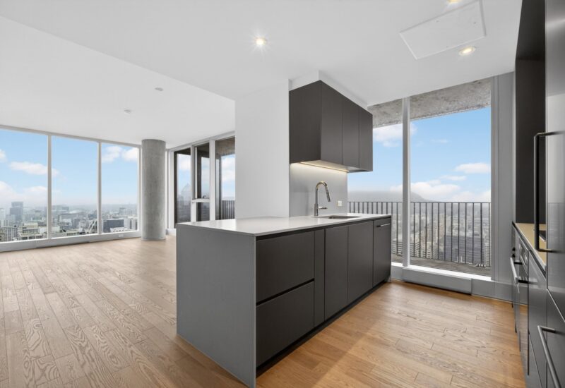 1205 Place Phillips #4507 Montréal (Ville-Marie) (Montréal)