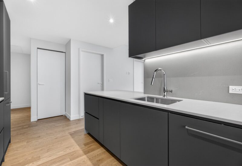 1205 Place Phillips #4507 Montréal (Ville-Marie) (Montréal)