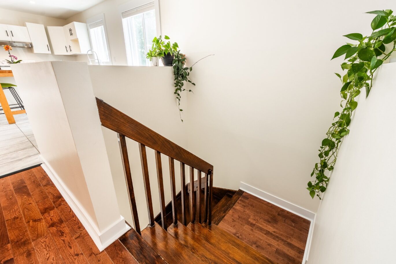 1644 Rue St-Pierre #2  Longueuil (Le Vieux-Longueuil) (Montérégie)