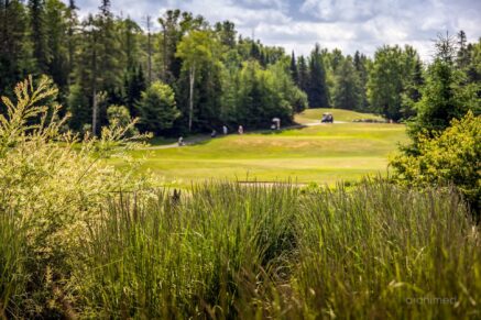 740 Allée Royale Mont-Tremblant (Laurentides)