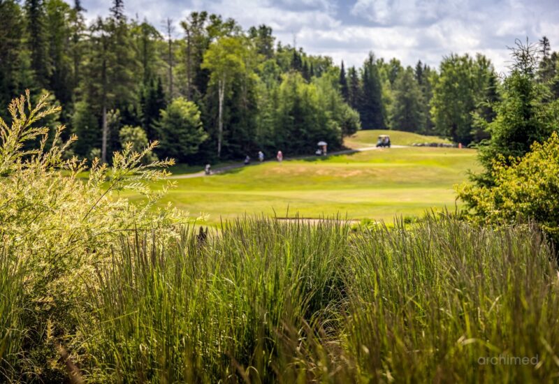 740 Allée Royale Mont-Tremblant (Laurentides)