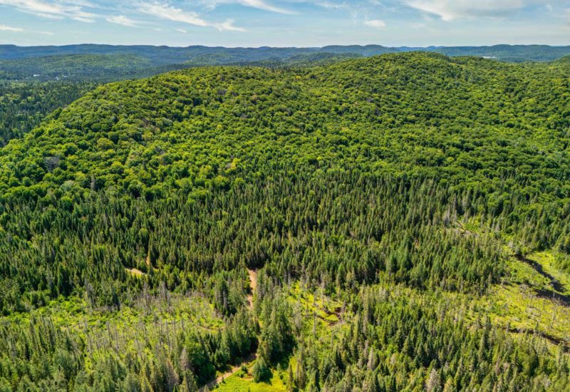 Ch. du 7e-Rang  Sainte-Lucie-des-Laurentides (Laurentides)