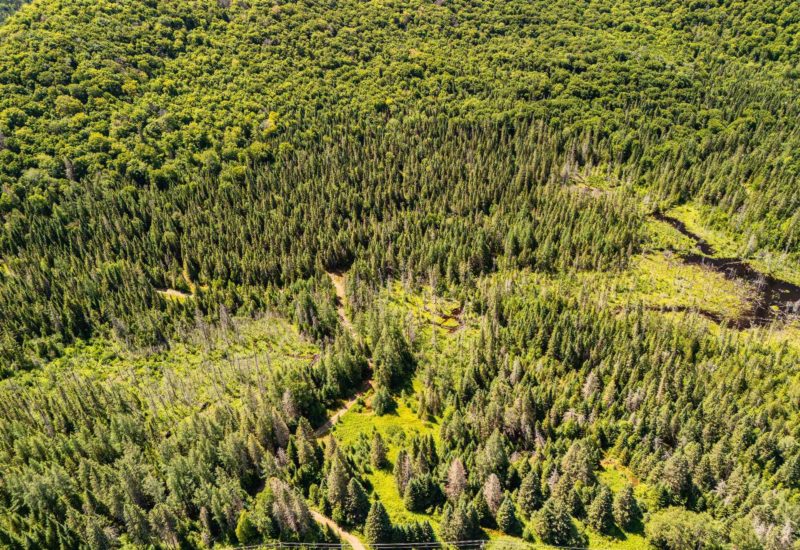Ch. du 7e-Rang  Sainte-Lucie-des-Laurentides (Laurentides)