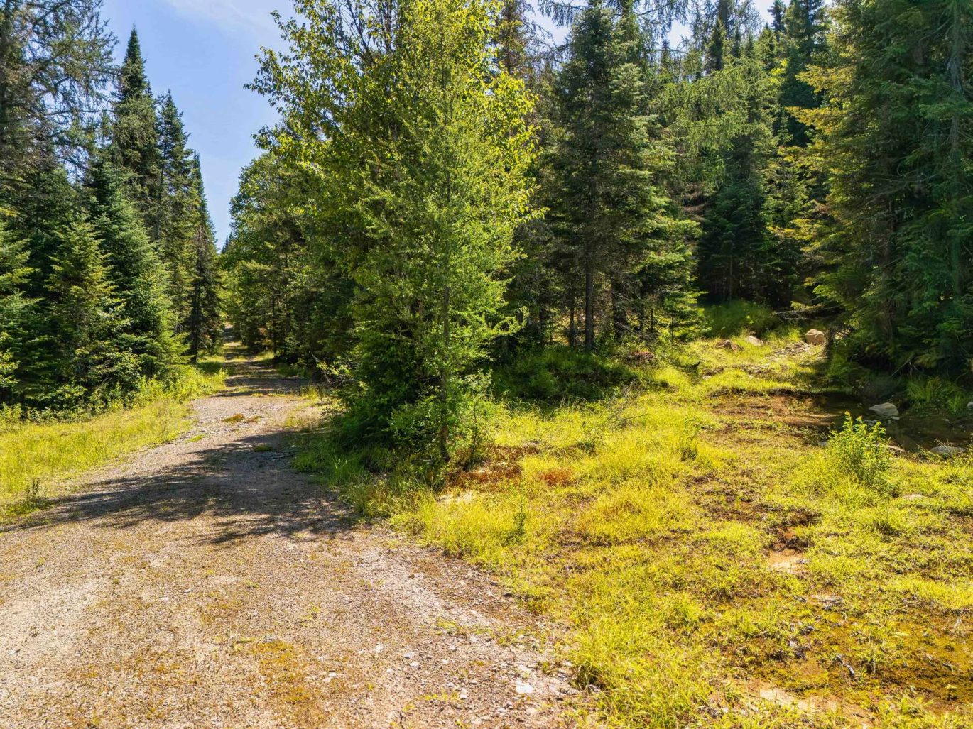 Ch. du 7e-Rang  Sainte-Lucie-des-Laurentides (Laurentides)