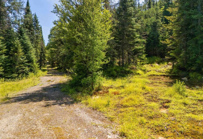 Ch. du 7e-Rang  Sainte-Lucie-des-Laurentides (Laurentides)