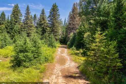 Ch. du 7e-Rang  Sainte-Lucie-des-Laurentides (Laurentides)