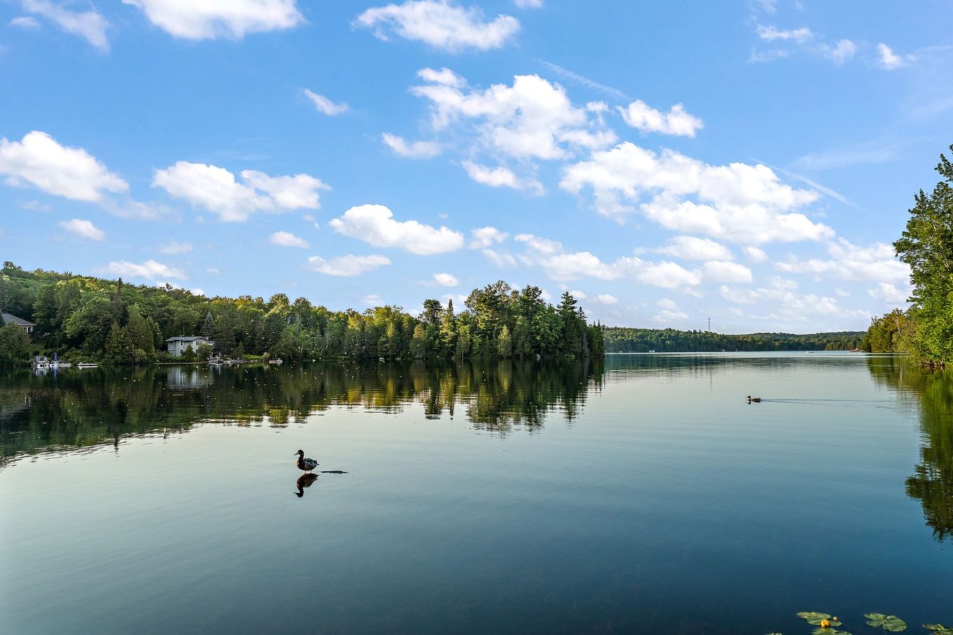 90 Ch. Beakie  Sainte-Anne-des-Lacs (Laurentides)