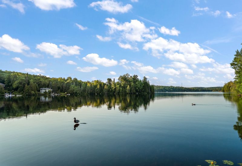 90 Ch. Beakie  Sainte-Anne-des-Lacs (Laurentides)