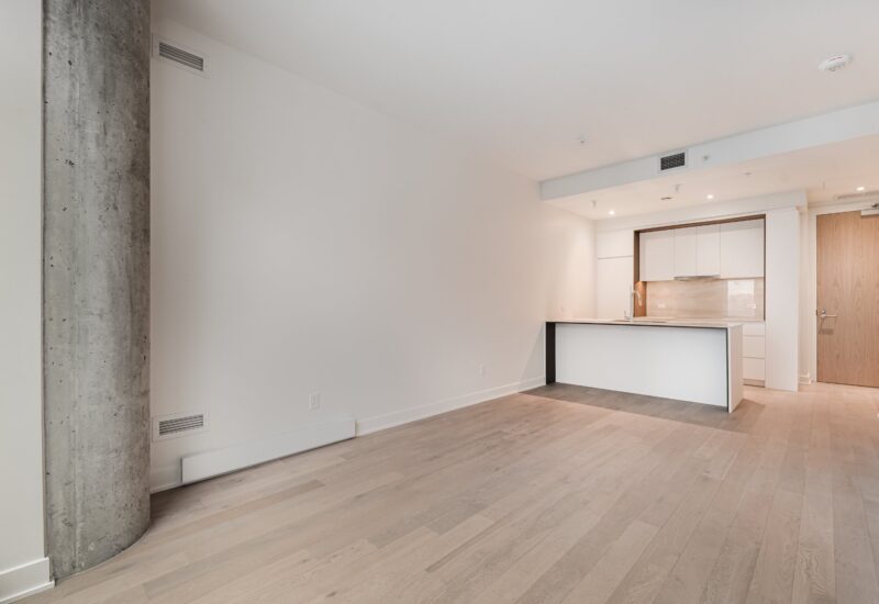 1020 Rue de la Montagne #3404 Montréal (Ville-Marie) (Montréal)