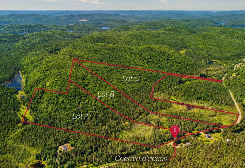 Ch. du 7e-Rang #B  Sainte-Lucie-des-Laurentides (Laurentides)