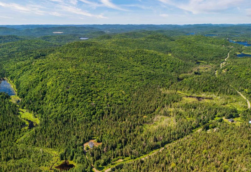 Ch. du 7e-Rang #B  Sainte-Lucie-des-Laurentides (Laurentides)
