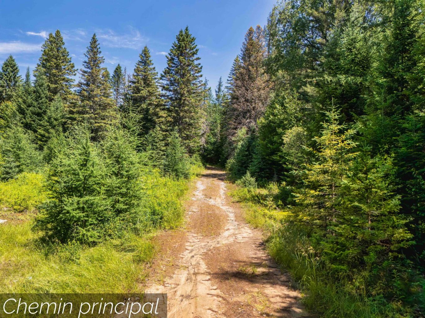 Ch. du 7e-Rang #B  Sainte-Lucie-des-Laurentides (Laurentides)