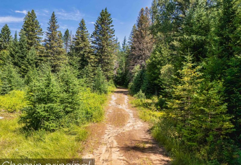 Ch. du 7e-Rang #B  Sainte-Lucie-des-Laurentides (Laurentides)