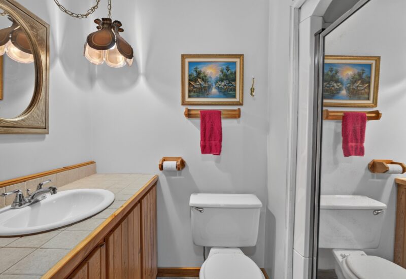 236 Ch. Louis-Pépin Amherst (Laurentides)