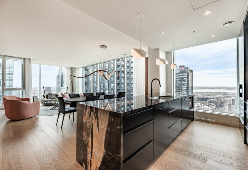 1020 Rue de la Montagne #4005 Montréal (Ville-Marie) (Montréal)