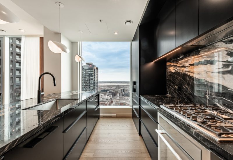 1020 Rue de la Montagne #4005 Montréal (Ville-Marie) (Montréal)