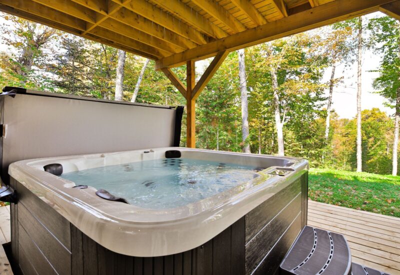 115 Ch. de la Muraille Mont-Tremblant (Laurentides)