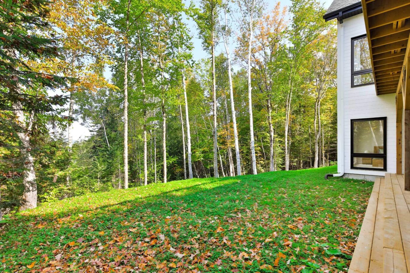 115 Ch. de la Muraille Mont-Tremblant (Laurentides)