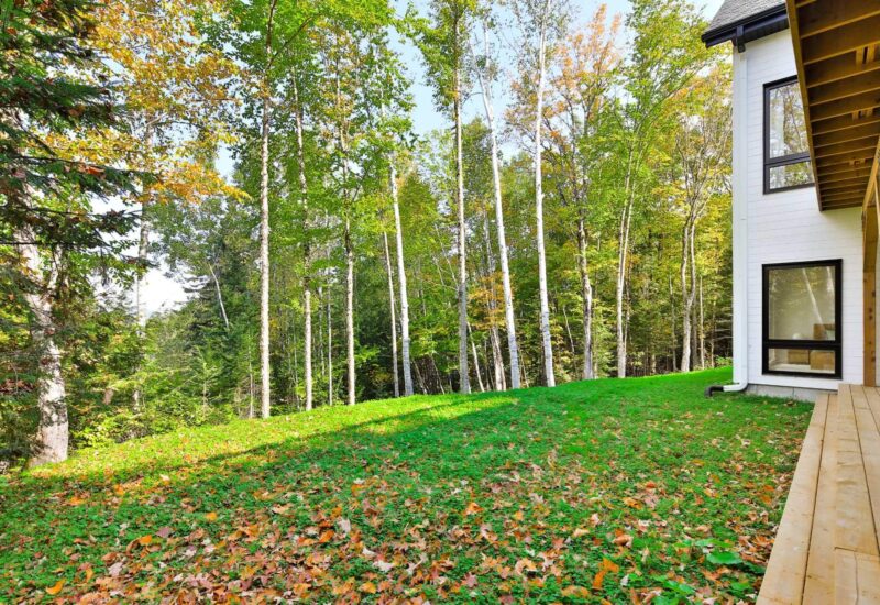 115 Ch. de la Muraille Mont-Tremblant (Laurentides)