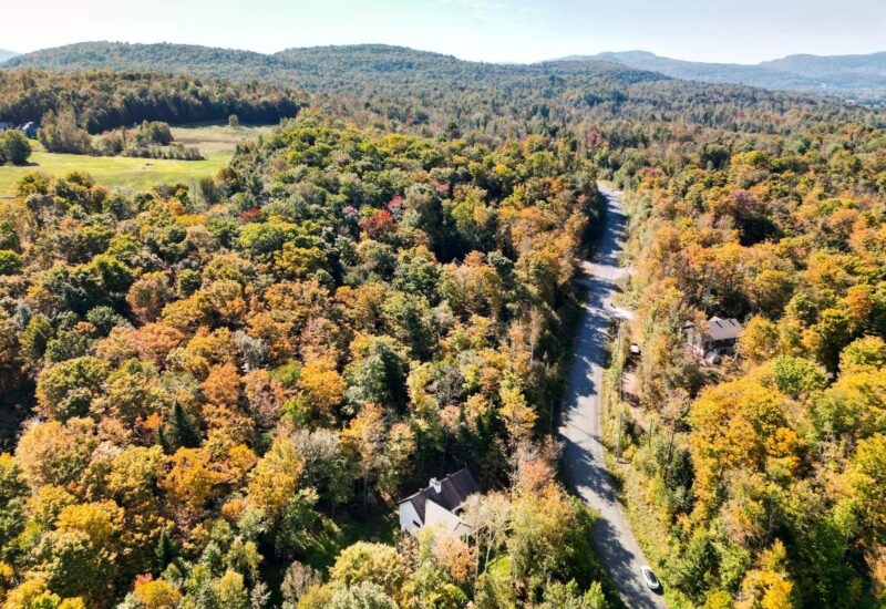 115 Ch. de la Muraille Mont-Tremblant (Laurentides)