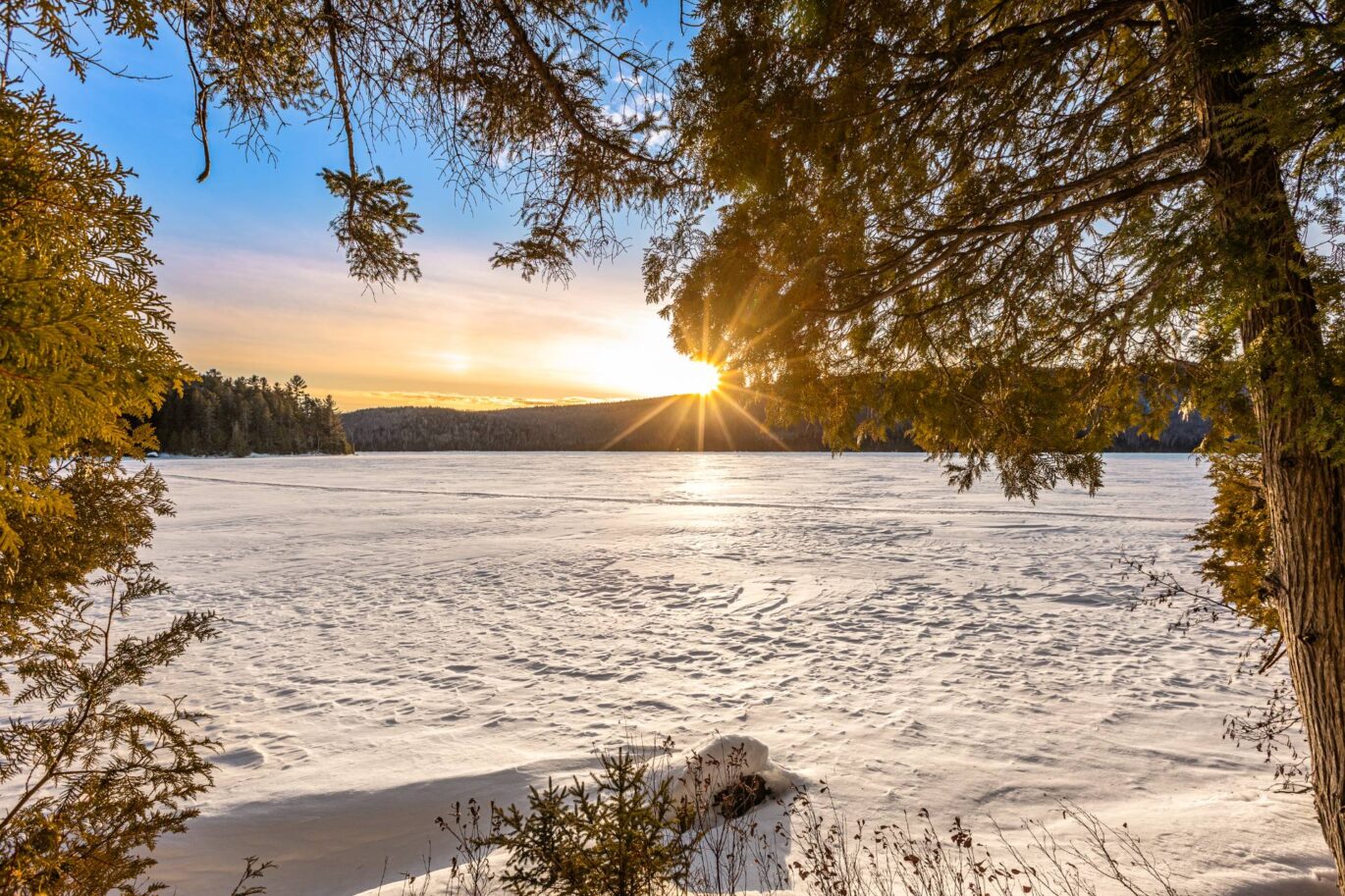 4140 Ch. Yvon-Plante Saint-Alexis-des-Monts (Mauricie)
