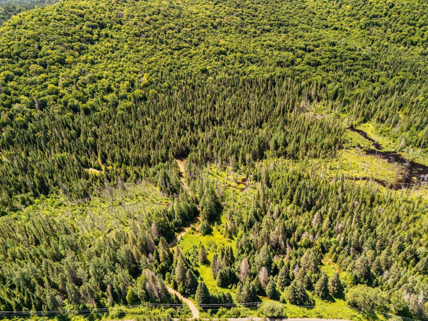 Ch. du 7e-Rang #C Sainte-Lucie-des-Laurentides (Laurentides)