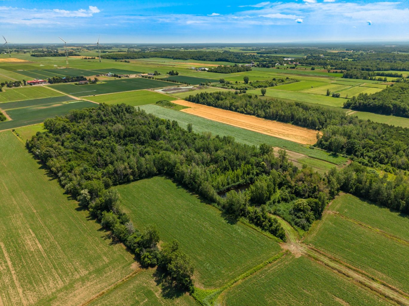 1636 Rg Notre-Dame  Saint-Rémi (Montérégie)